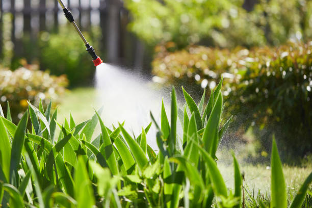 Void Injection for Cockroach Colonies in Winter Garden